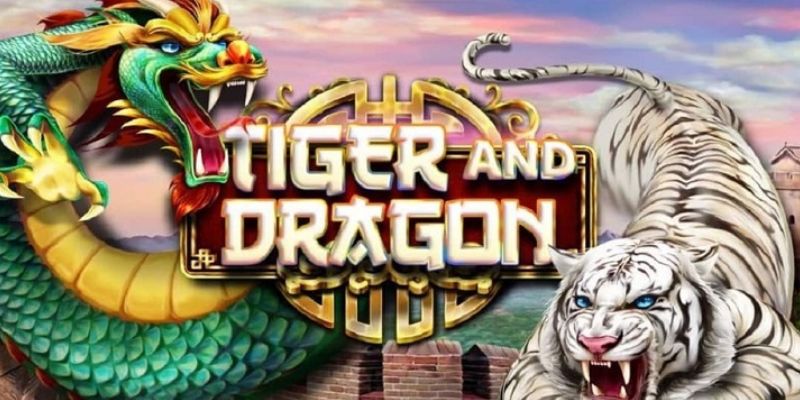 Tìm hiểu chung về rồng hổ 789f đình đám hiện nay Tìm hiểu chung về rồng hổ 789f đình đám hiện nay