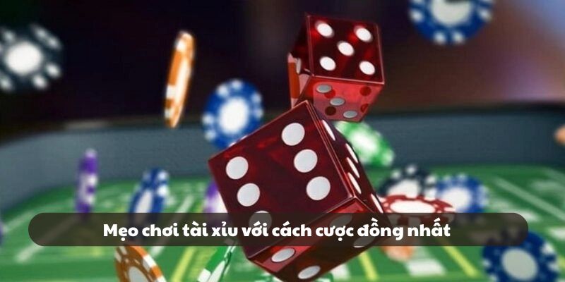 Mẹo chơi tài xỉu với cách cược đồng nhất